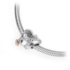 Srebrna zawieszka wisiorek Charms serce łańcuszek Keep me safe Z580-925-RS marko