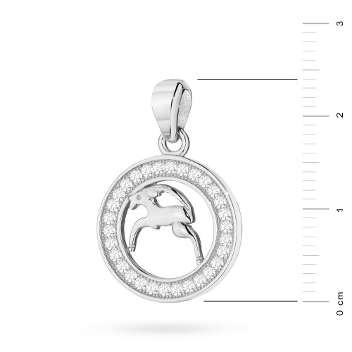 Srebrny wisiorek znak zodiaku w kole Koziorożec cyrkonie