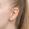 K883-925-S_3.webp
