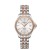Zegarek damski Certina DS ACTION C0320512203600 MARKO