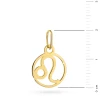 Złota zawieszka znak zodiaku lew Zodiak Z-GW-402-585 marko