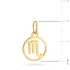 Złota zawieszka znak zodiaku skorpion Zodiak Z-GW-405-585 marko