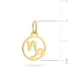 Złota zawieszka znak zodiaku koziorożec Zodiak Z-GW-407-585 marko