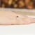 Pierścionek białe złoto z rubinem 0,60ct i brylantami Dynastia W0028.B3.RUR.01 marko