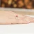 Złoty pierścionek zaręczynowy z rubinem 0,60ct i brylantami Dynastia W0028.Z3.RUR.01 marko