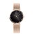 Zegarek Pierre Ricaud P22035.91R4Q damski bransoleta mesh MARKO
