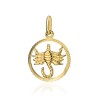 Złoty wisiorek zawieszka znak zodiaku Skorpion złoto 585 Z371-585-SKORPION MARKO